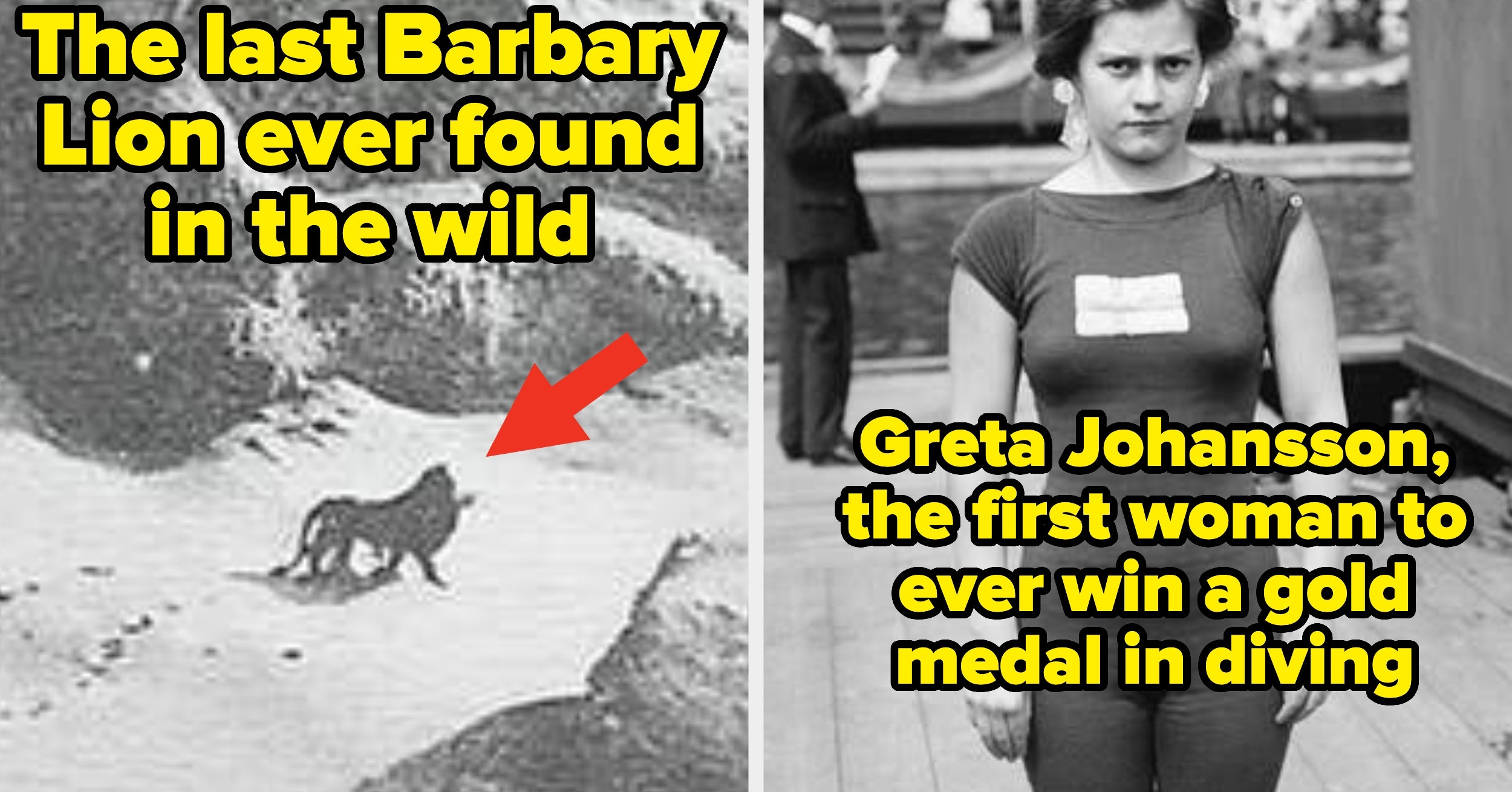 35 Absolutely Jaw-Dropping Historical Pictures That Will Make You Rethink Everything You Thought You Knew About The Past