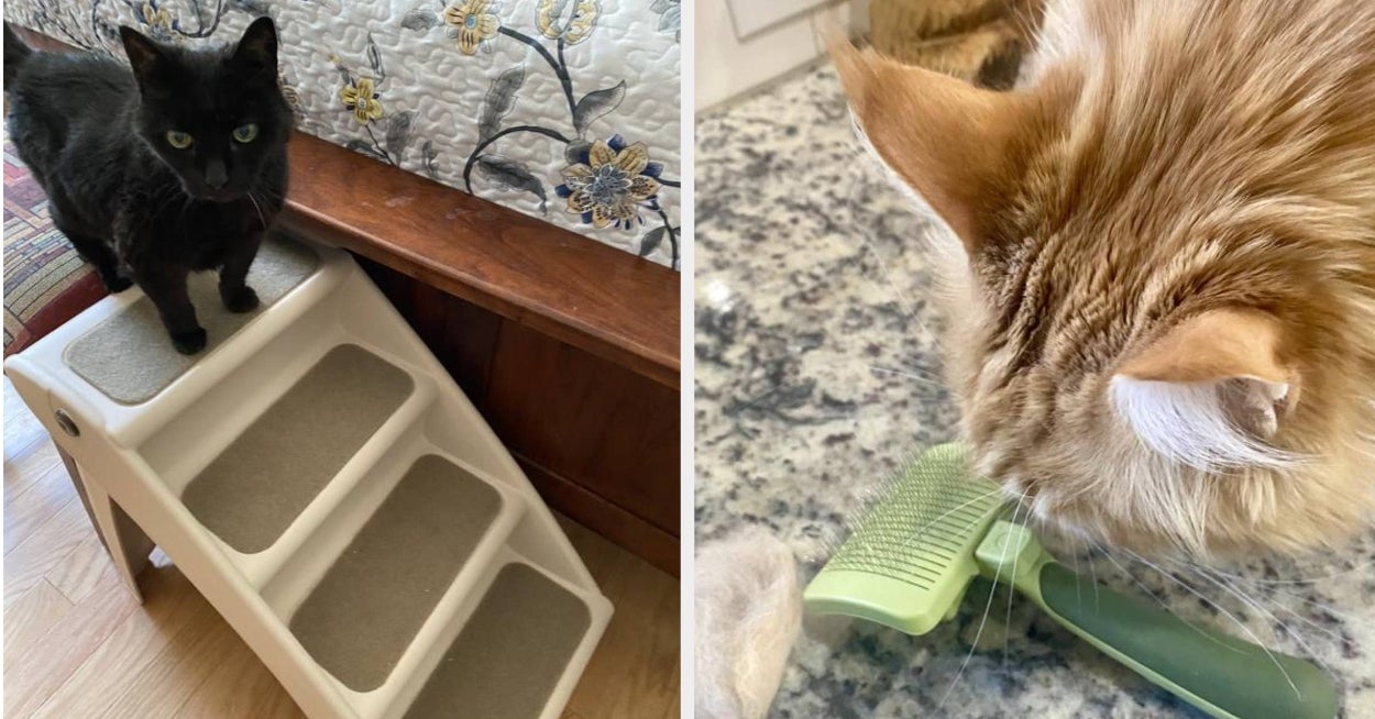 Say Goodbye To Cat-Related Stress With These 21 Useful Chewy Products