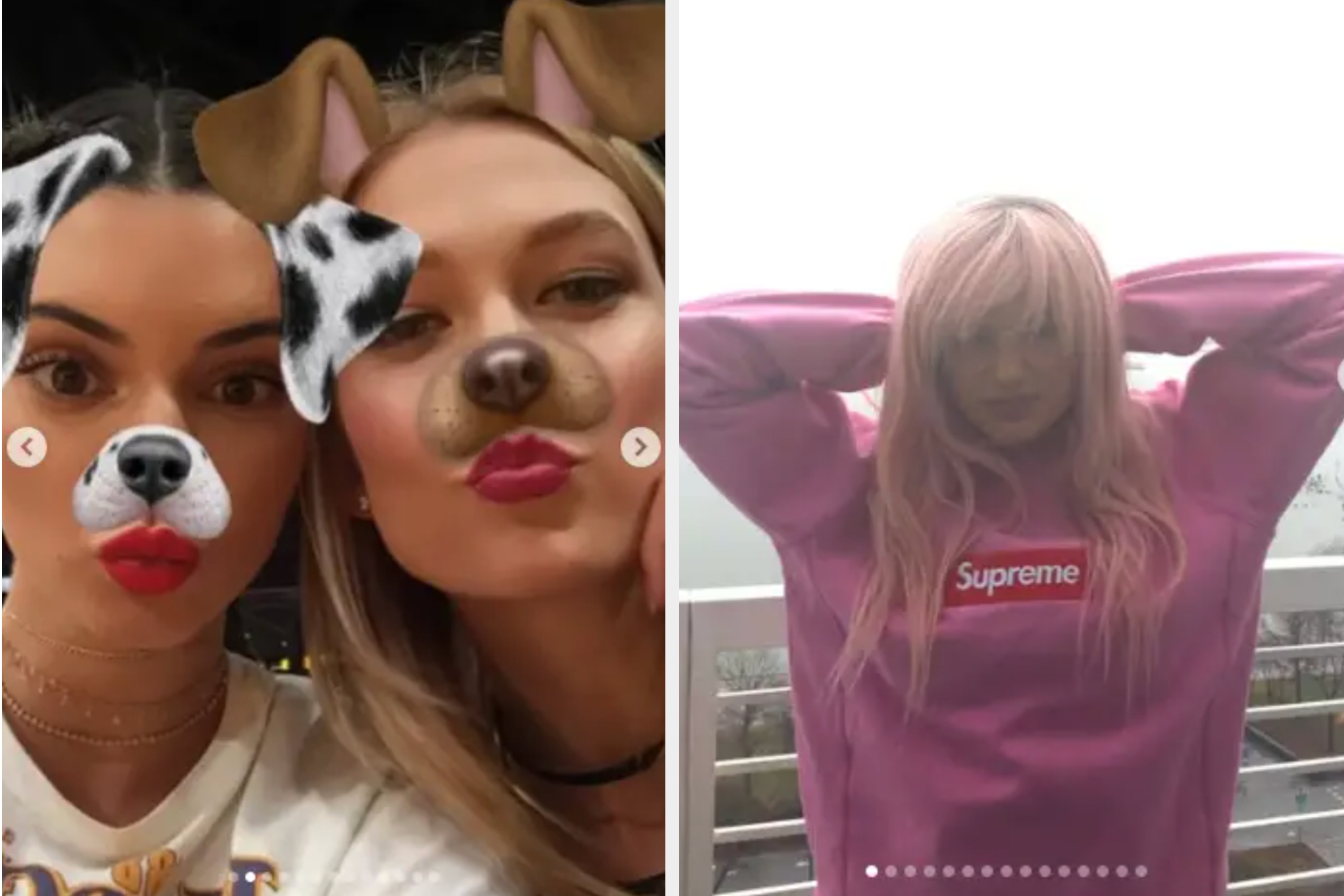 Two friends with dog filter selfies; person in a "Supreme" hoodie poses on a balcony