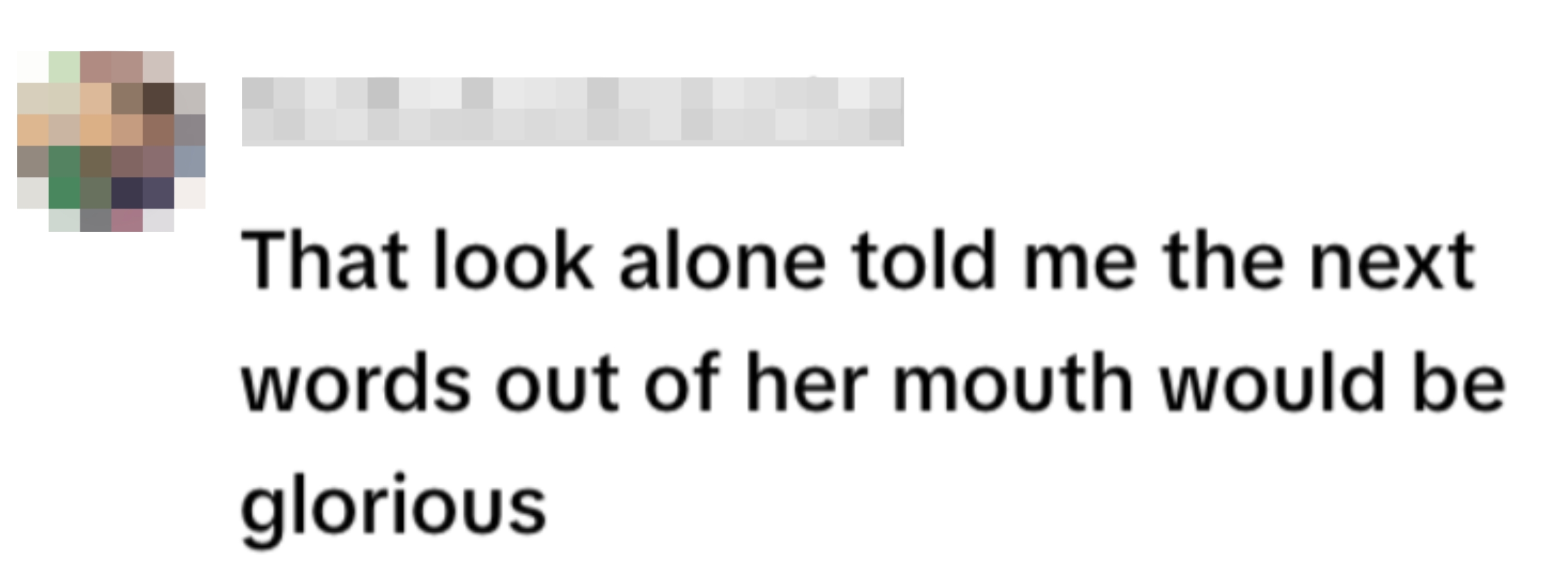 Comment screenshot reading: "That look alone told me the next words out of her mouth would be glorious."