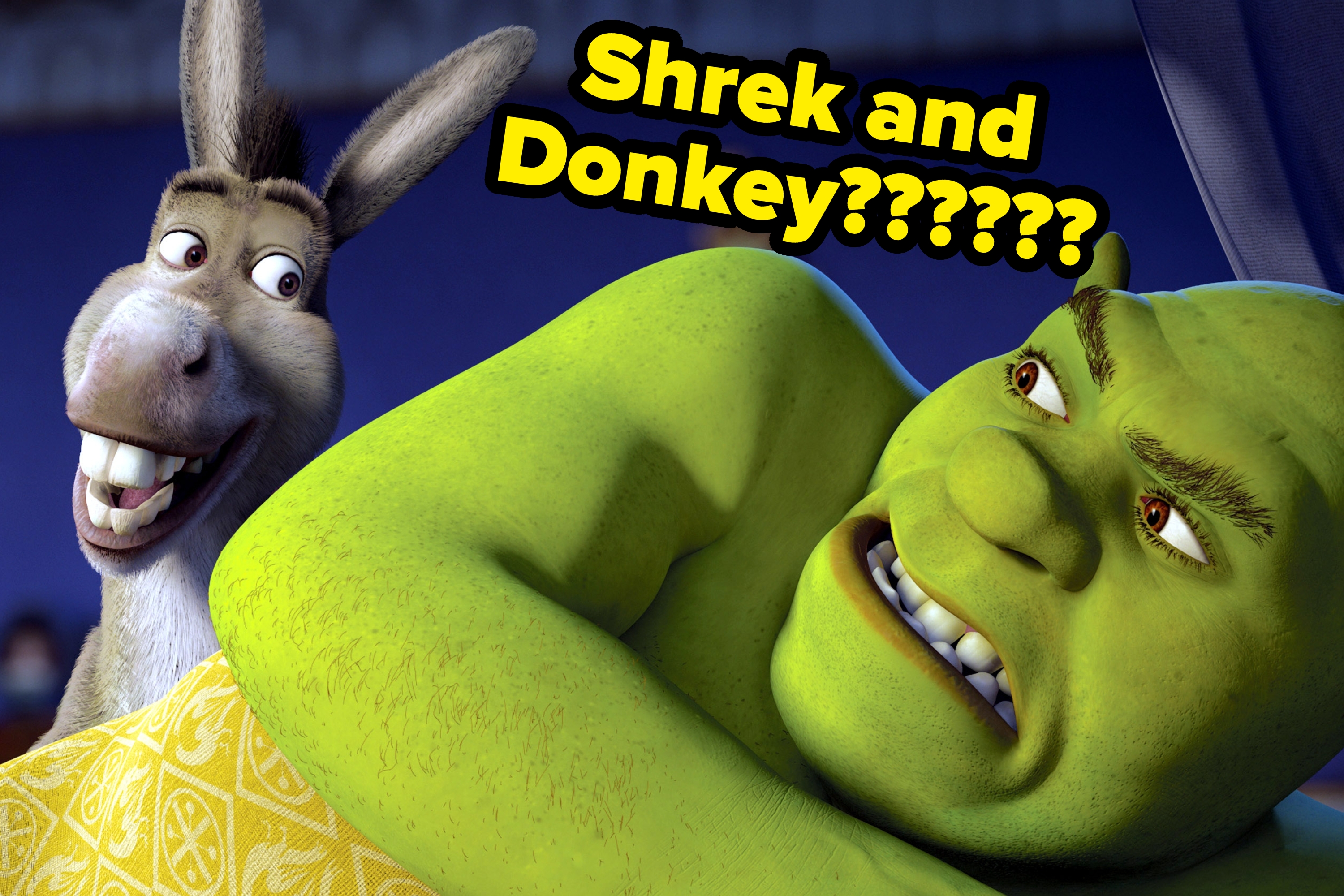 Shrek looks surprised while lying down, with Donkey smiling beside him. Text reads "Shrek and Donkey??????"