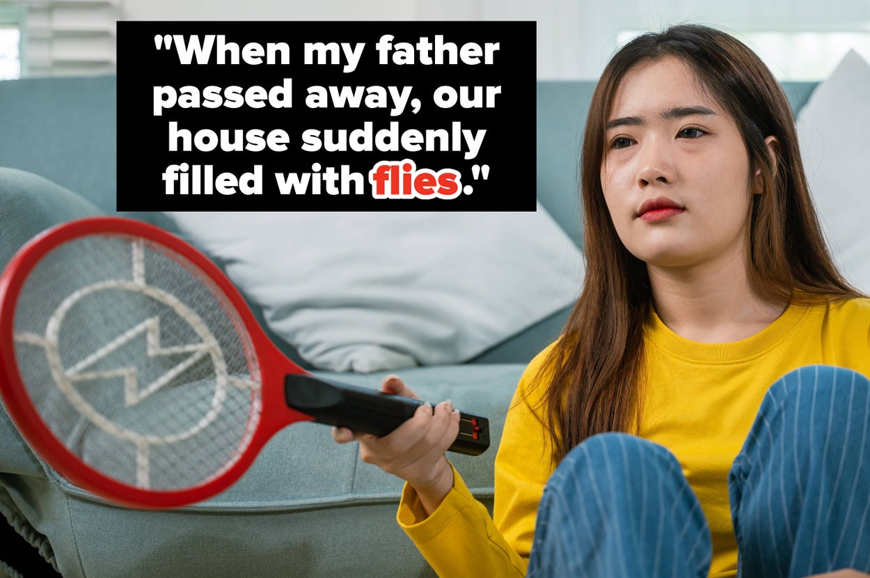 Woman indoors, holding an electric fly swatter. Text reads: "When my father passed away, our house suddenly filled with flies."