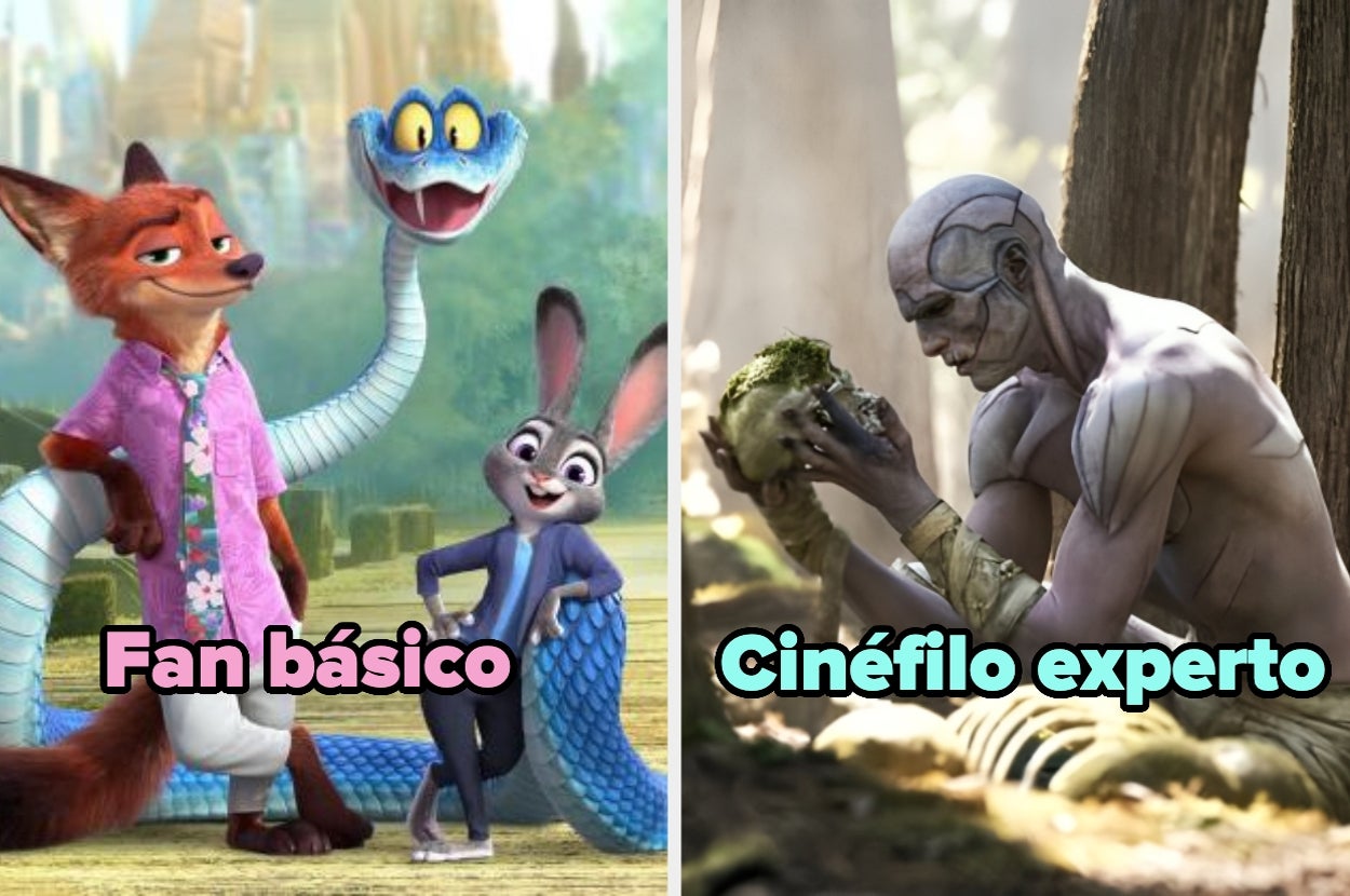 Imagen dividida: izquierda muestra personajes animados; derecha, humanoide pensando. Texto: "Fan básico" y "Cinéfilo experto"
