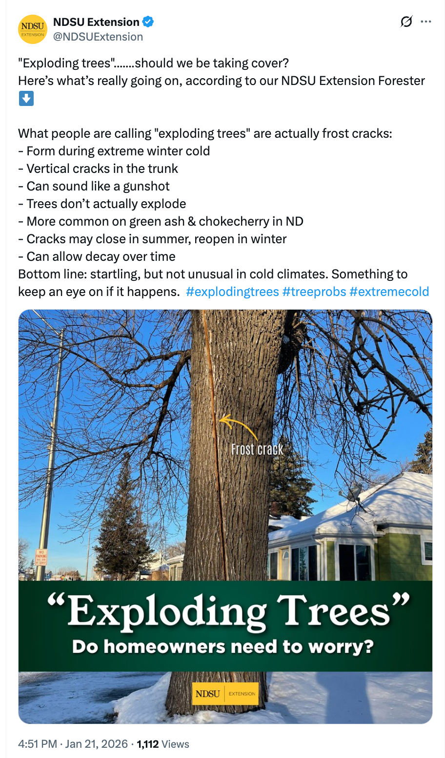 Here’s The Real Story Behind The Whole “Exploding Trees” Panic