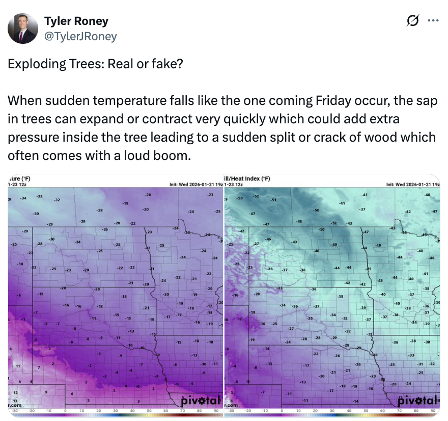 Mn Exploding Tree Risk Here’s The Real Story Behind The Whole “Exploding Trees” Panic