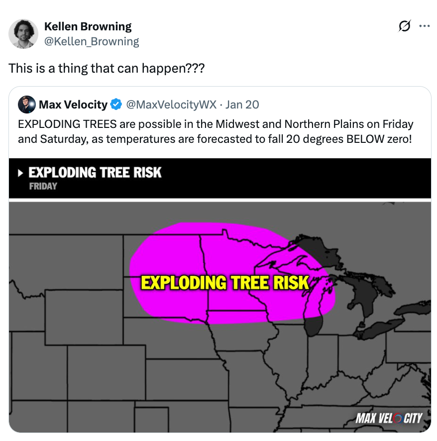 Here’s The Real Story Behind The Whole “Exploding Trees” Panic