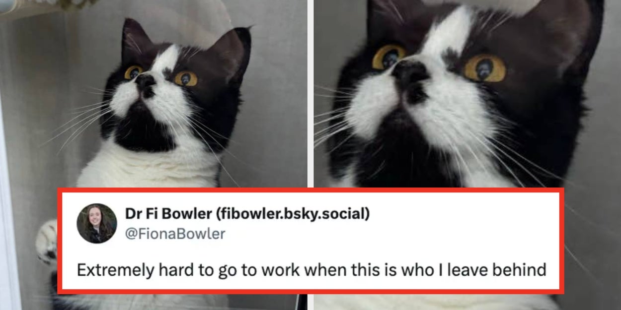 15 Of The Cutest, Best, Most Wholesome Posts From Around The Internet This Week