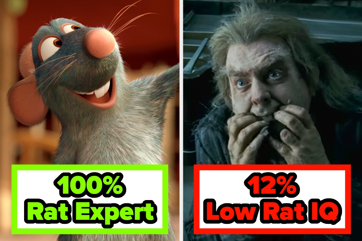 Two-panel meme: Left shows Remy the rat with "100% Rat Expert" label; right shows Peter Pettigrew with messy hair and "12% Low Rat IQ" label