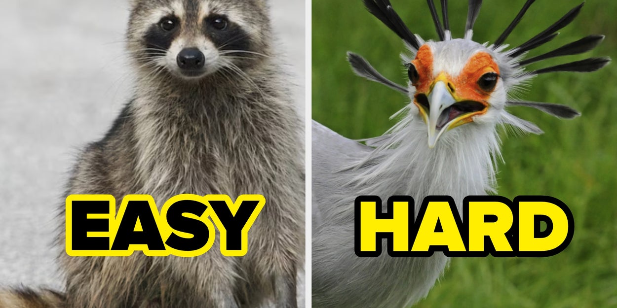 Most Adults Have No Idea What Half These Animals Are