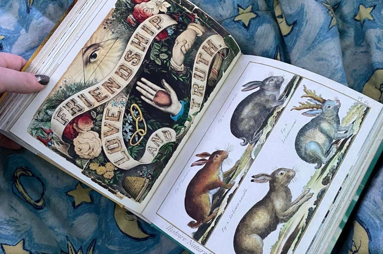Open book showing vintage illustrations of rabbits and ornate artwork with "Friendship, Love, and Truth." Background features celestial patterns