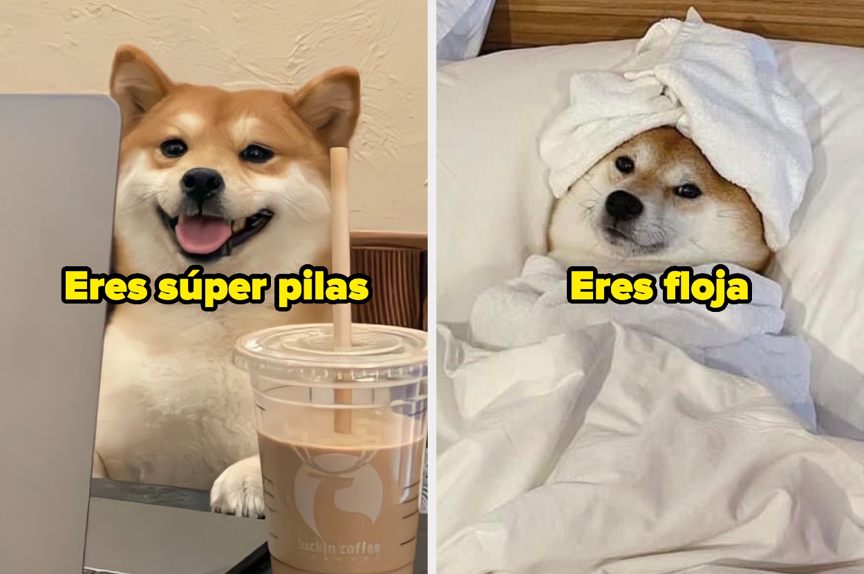 Dos imágenes de un perro Shiba Inu: una trabajando con computadora y bebida, con texto "Eres súper pilas"; otra en cama con toalla, con "Eres floja"