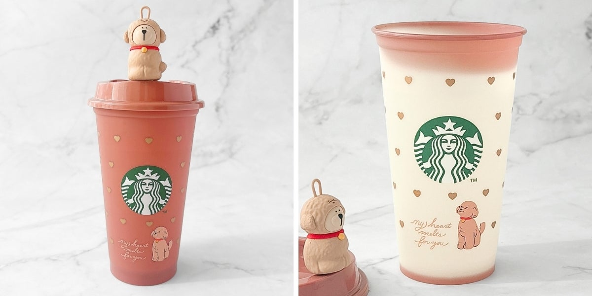 待って、スタバの『限定タンブラー』が最高にかわいいんだけど…！魔法