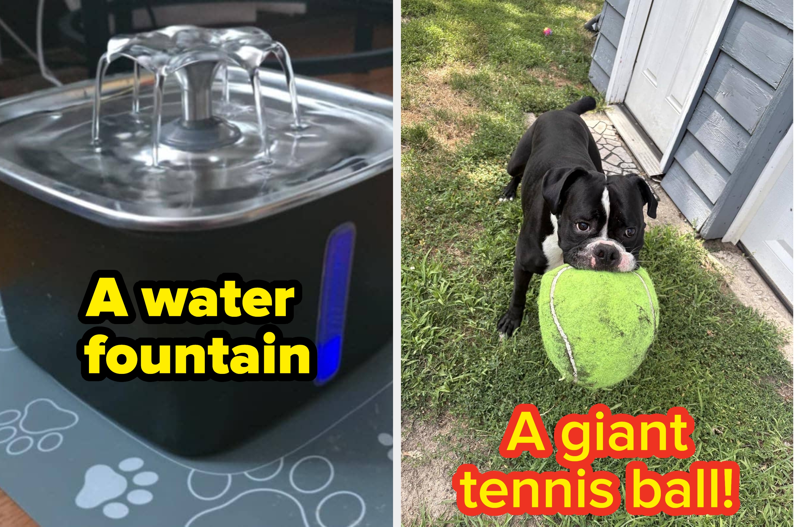 Split image: Left shows a pet water fountain, right features a dog holding a giant tennis ball