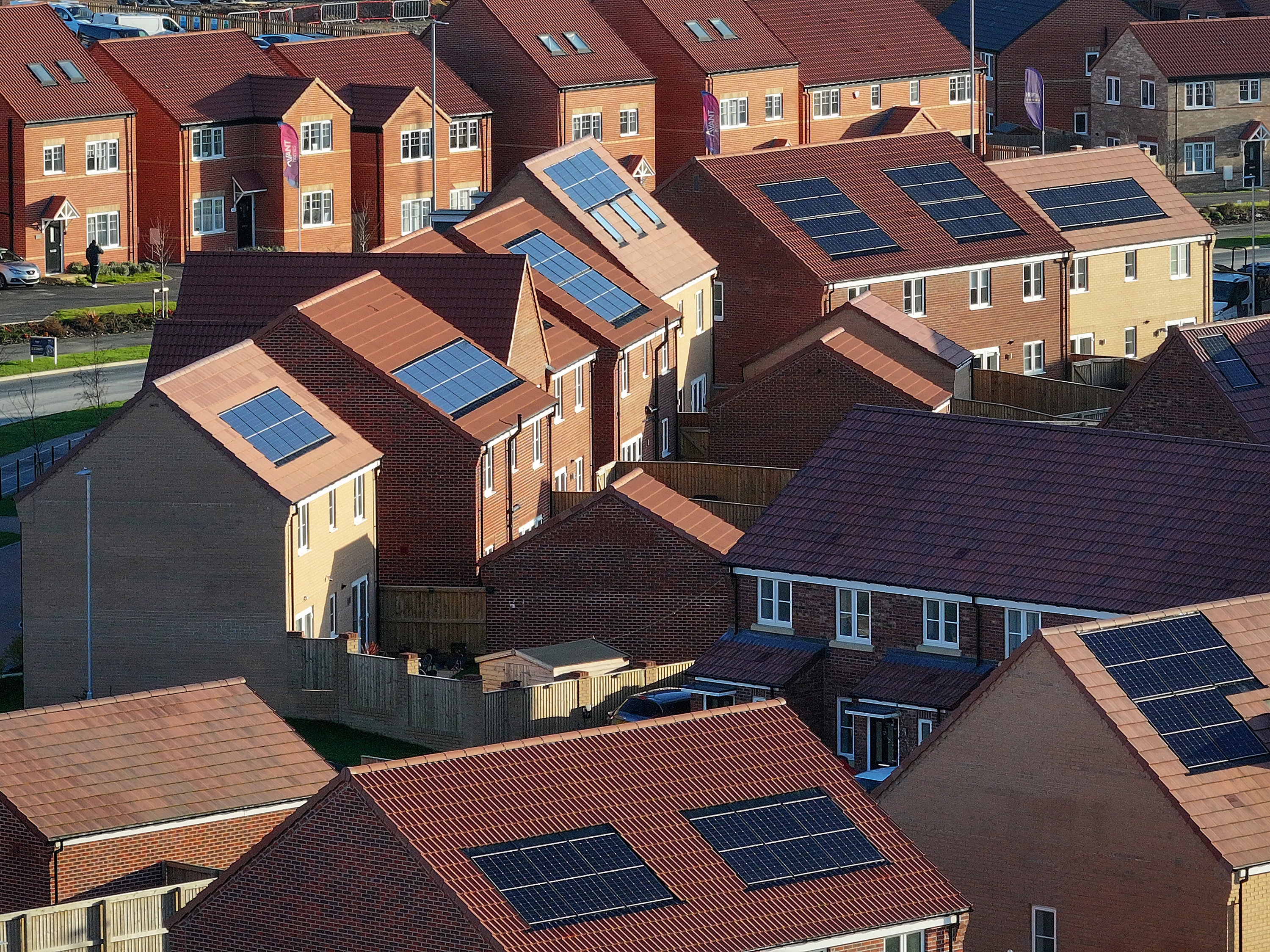 Rooftops of suburban homes with star panels, showcasing modern renewable vigor solutions successful a residential neighborhood