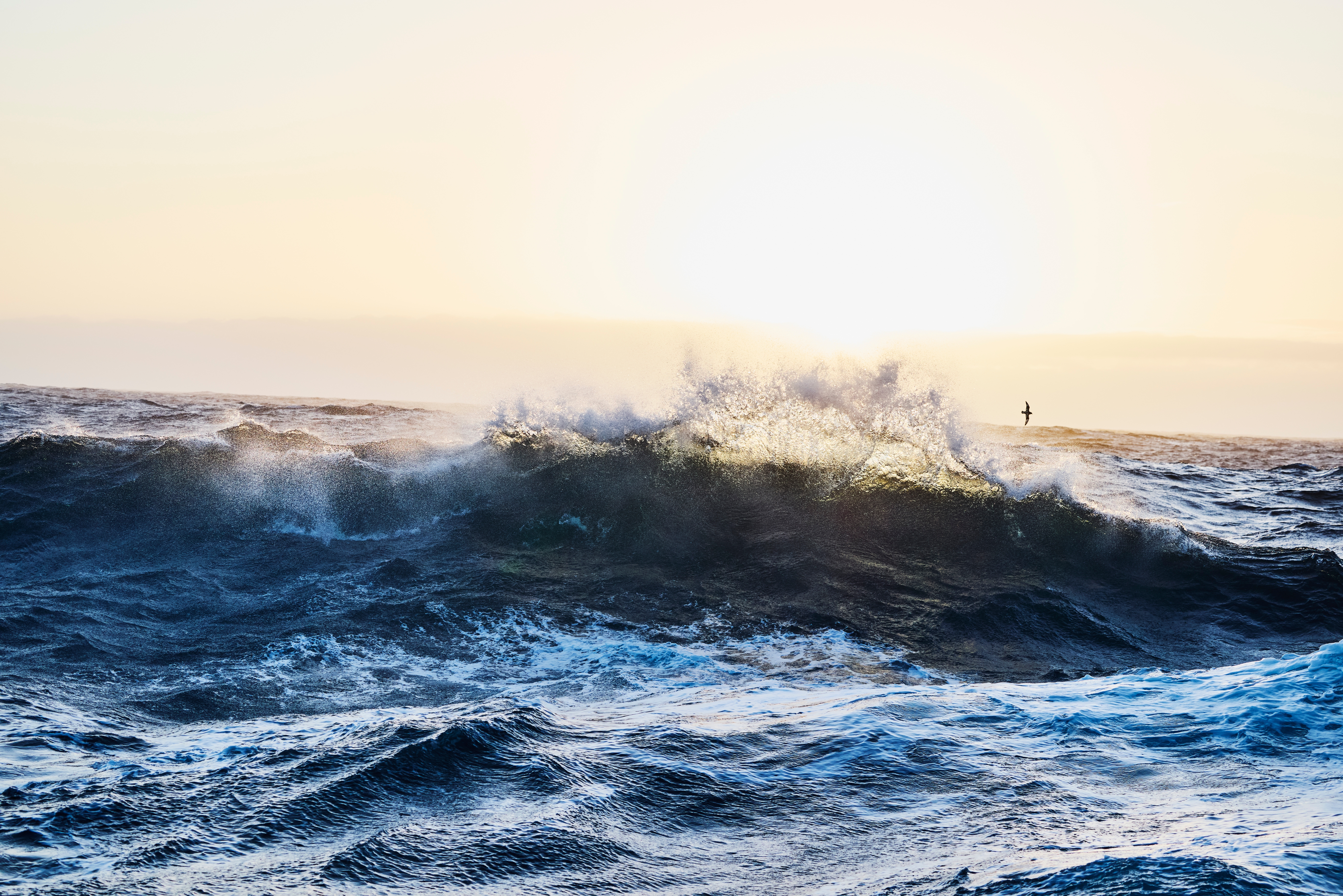 Ocean waves clang nether a agleam prima connected the horizon, with a solitary vertebrate flying successful the distance