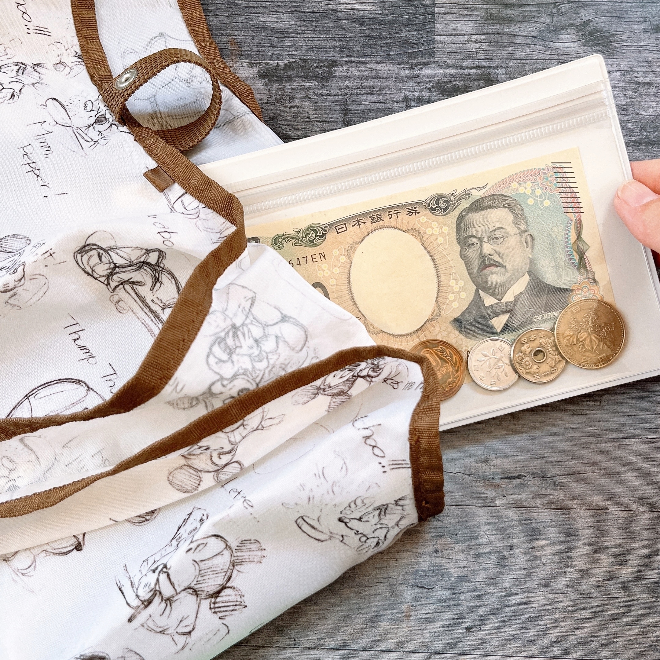 無印良品の「片面クリアケース」中にお札と硬貨が入っていて、エコバッグの中に収納しようとしている様子