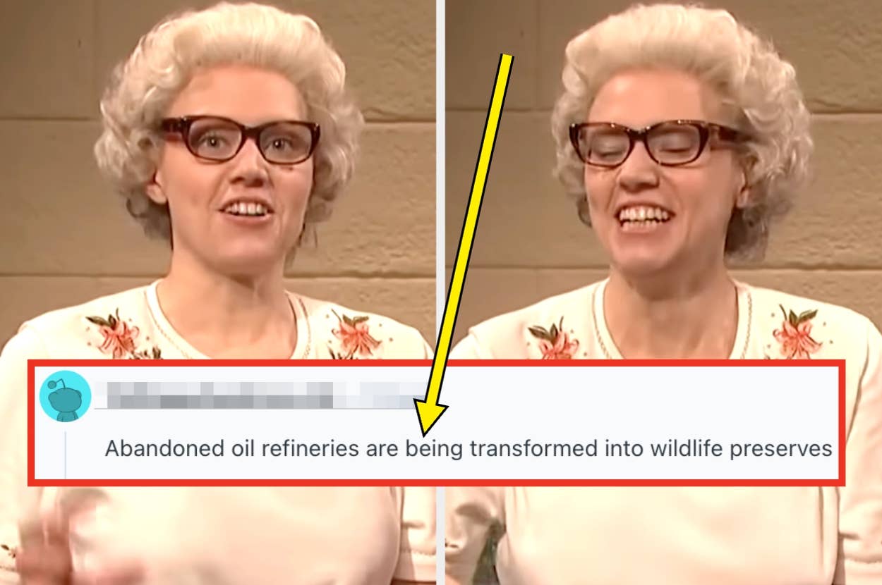 Person in a comedic skit smiles. Text overlay: "Abandoned oil refineries are being transformed into wildlife preserves."