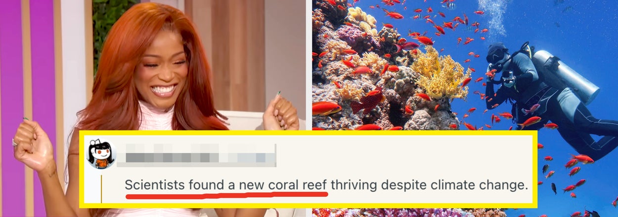 People Are Sharing The Positive News Headlines That Have "Flown Completely Under The Radar," And It's SUCH A Breath Of Fresh Air In These Horrendous Times