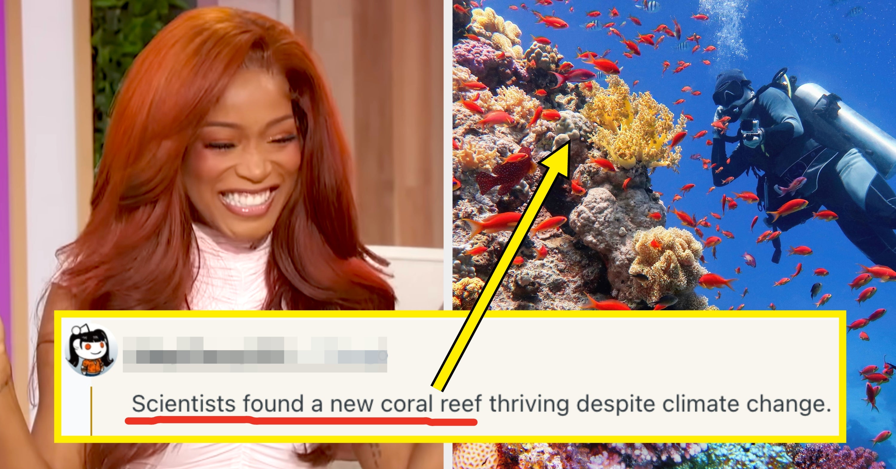 "It's This Quiet, Little Revolution": 22 Feel Good News Stories That May Not Have Catchy Headlines, But Will Heal A Little Something In Your Soul