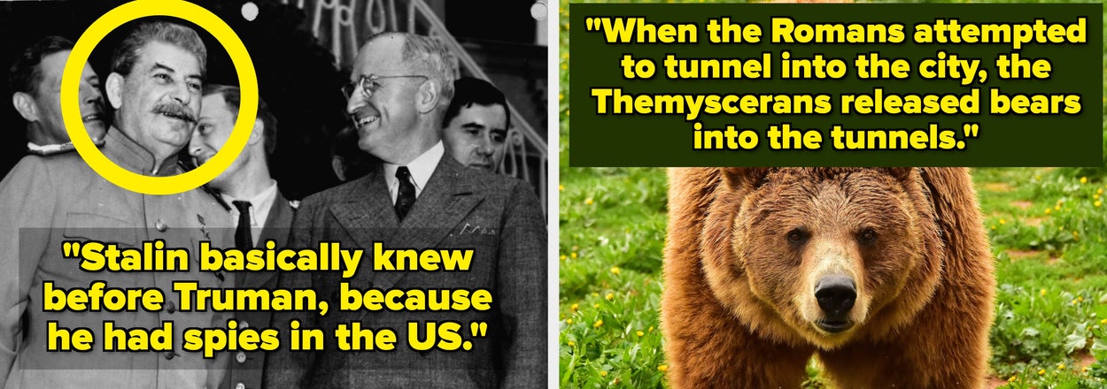 People Are Sharing The Most Ridiculous World History Facts They Know, So I Fact-Checked Every Single One