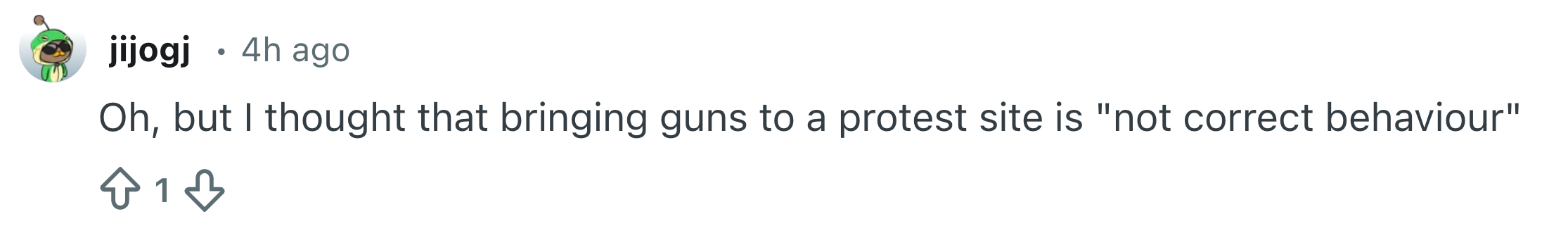 Kommenter stiller spørsmål ved hensiktsmessigheten av å ta med våpen til en protest