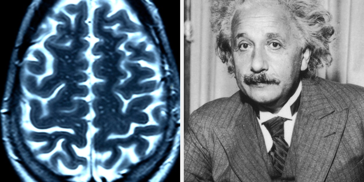 Can You Get Through This General Knowledge Quiz Faster Than Anyone Else?