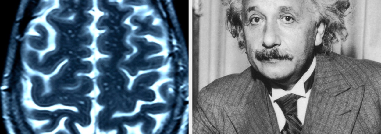 Can You Get Through This General Knowledge Quiz Faster Than Anyone Else?