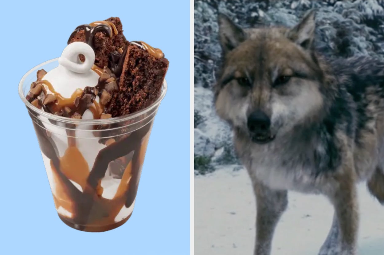 On the left, a brownie sundae, and on the right, a wolf from the Twilight Saga Eclipse