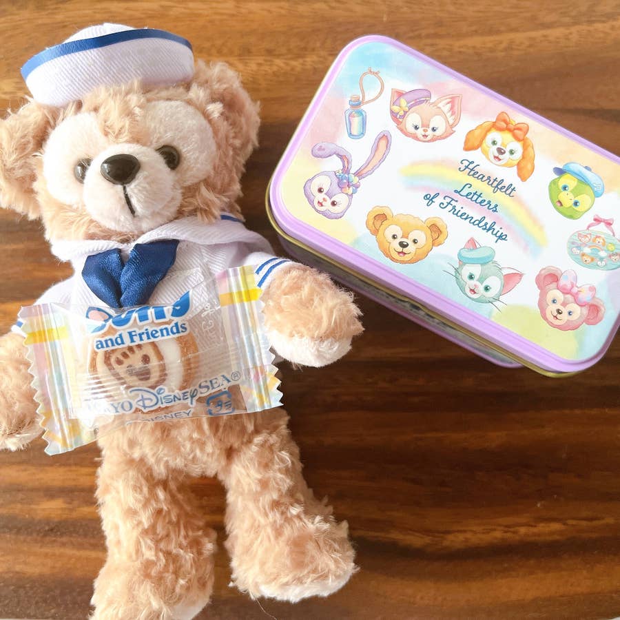 自分用にも買えばよかった…。ディズニーシーの「800円お土産」入って 