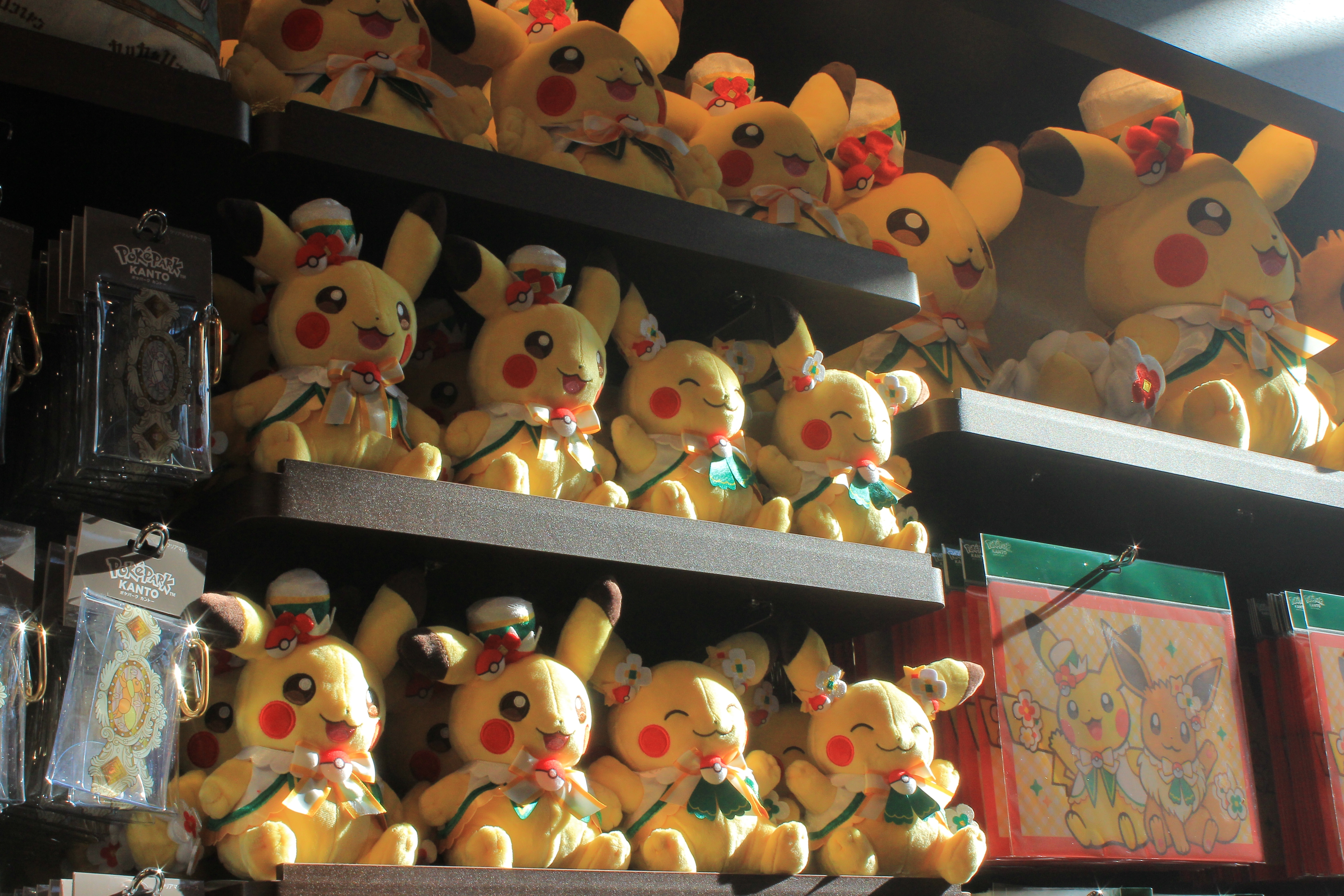 ポケモンが目の前にいる」という感動。『ポケパーク カントー』先行