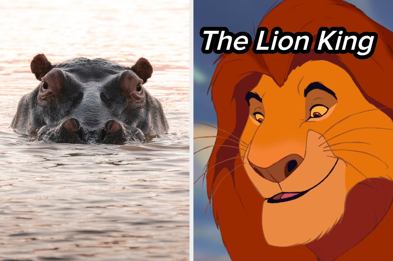 Pick Some Animals And I'll Tell You Which Animal Movie You Are