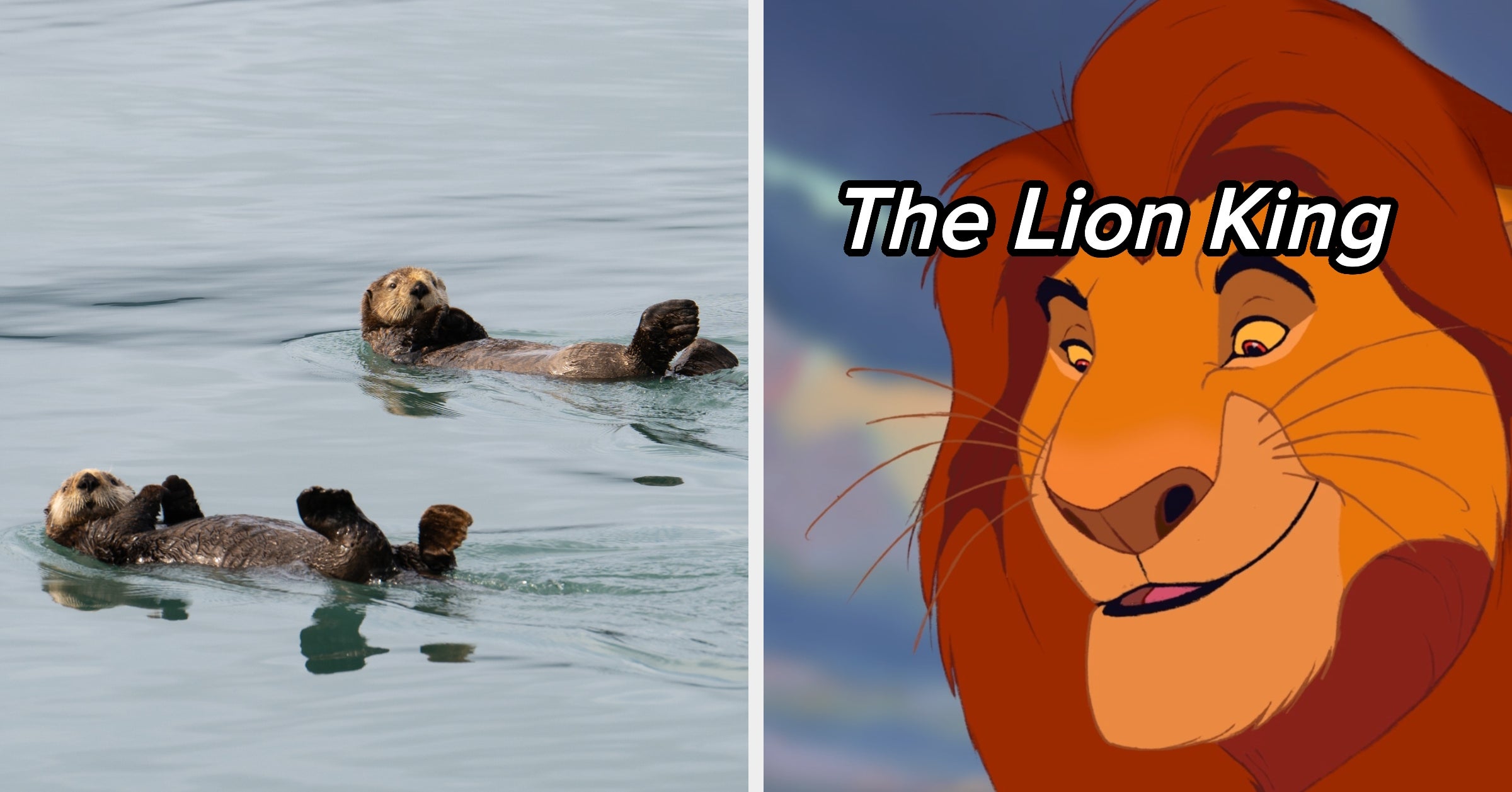 Choose Your Favorite Animals And We'll Reveal Which Iconic Animal Movie Perfectly Matches Your Personality