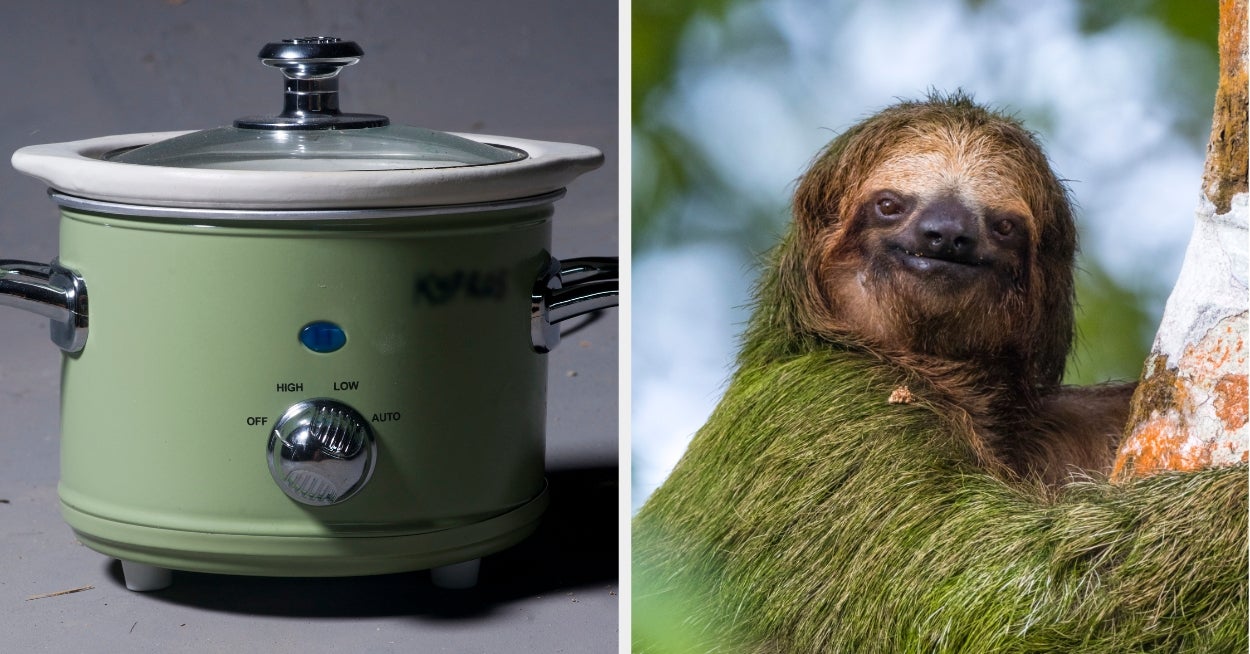 Pick Animals To Reveal Your Inner Kitchen Appliance
