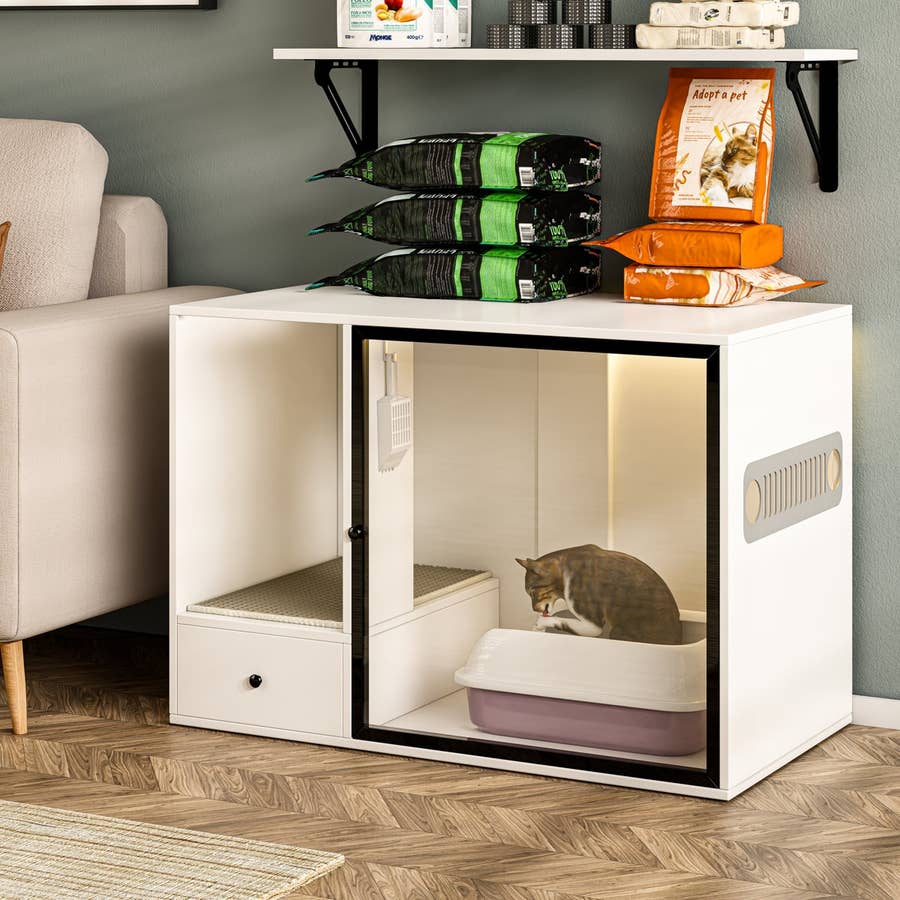 38 Best Hidden Litter Box Enclosures For Cats