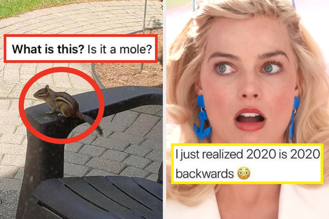 Left: Chipmunk on a chair with a question asking if it's a mole. Right: Surprised reaction with text saying 2020 is 2020 backwards