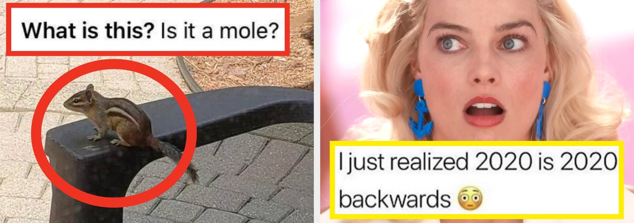 51 Dumb, Dumb, Dumb, Dumb, Dumb Dummies Who Should Have Their Internet Privileges Revoked