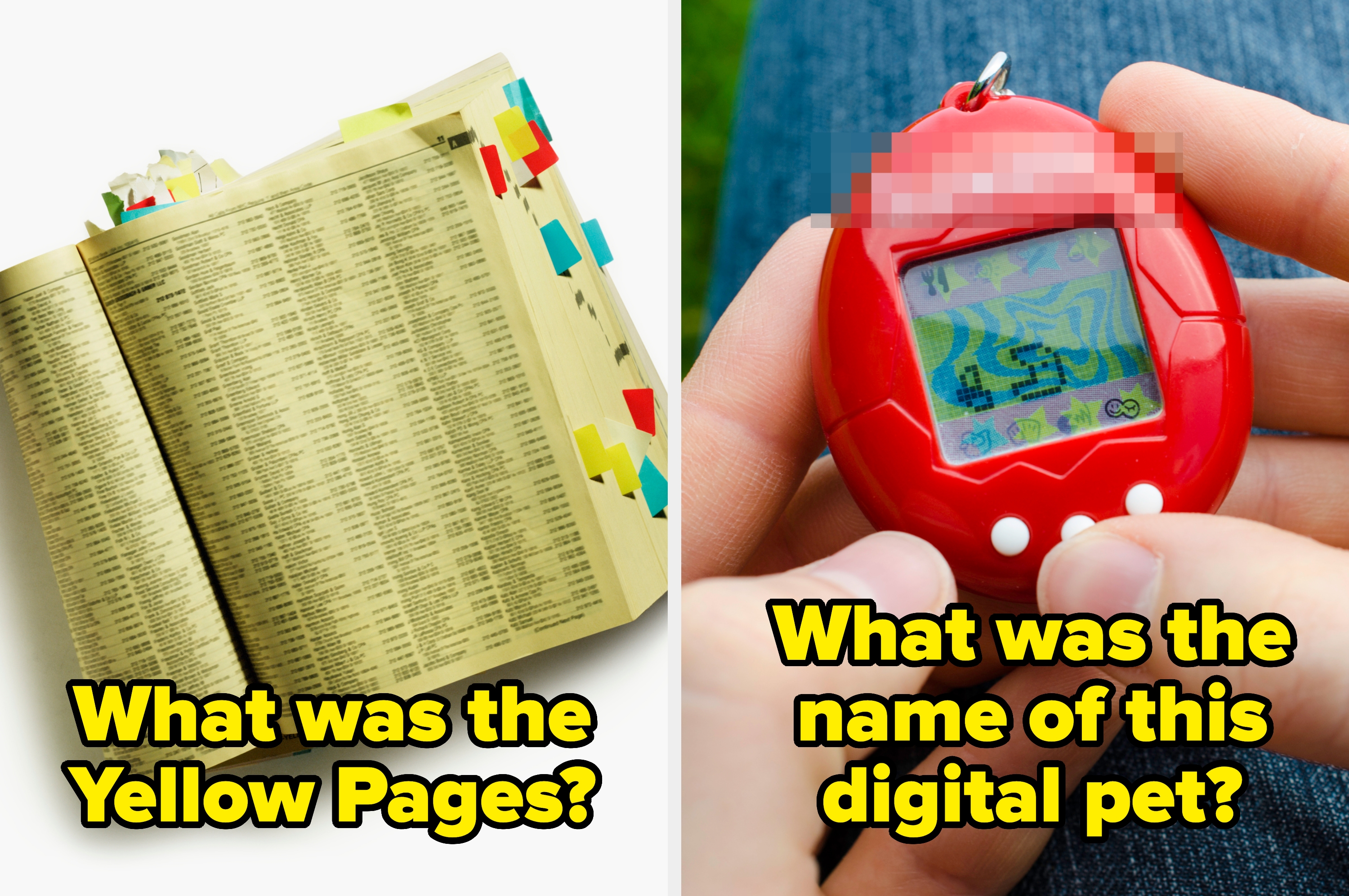 Split image: Left shows a Yellow Pages directory with tabs; right shows hands holding a digital pet device. Text asks about each item's name