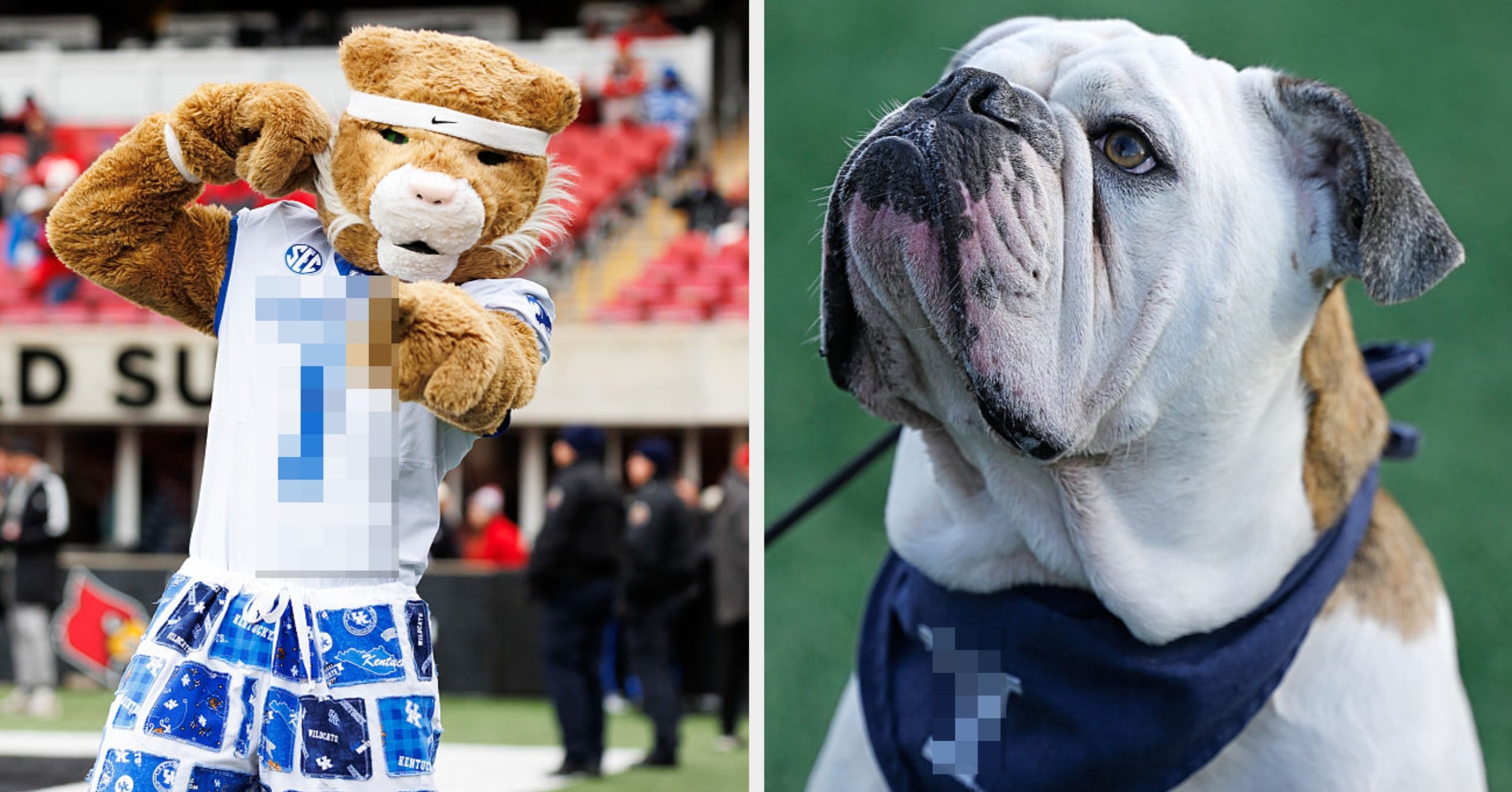 Only True College Sports Fans Can Match The University To The Mascot