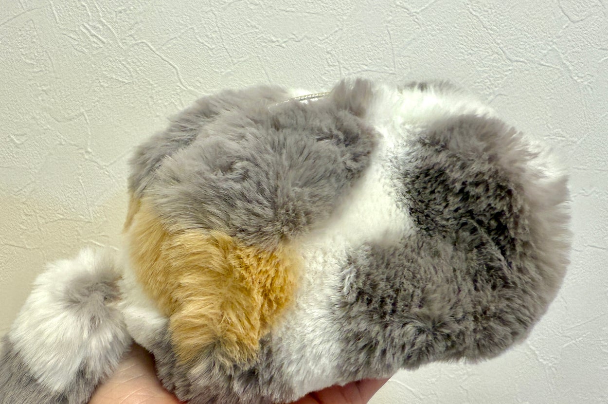 メリーチョコレートの「ねこみゃみれ にゃんポーチ（パステル三毛）」を手に乗せている様子