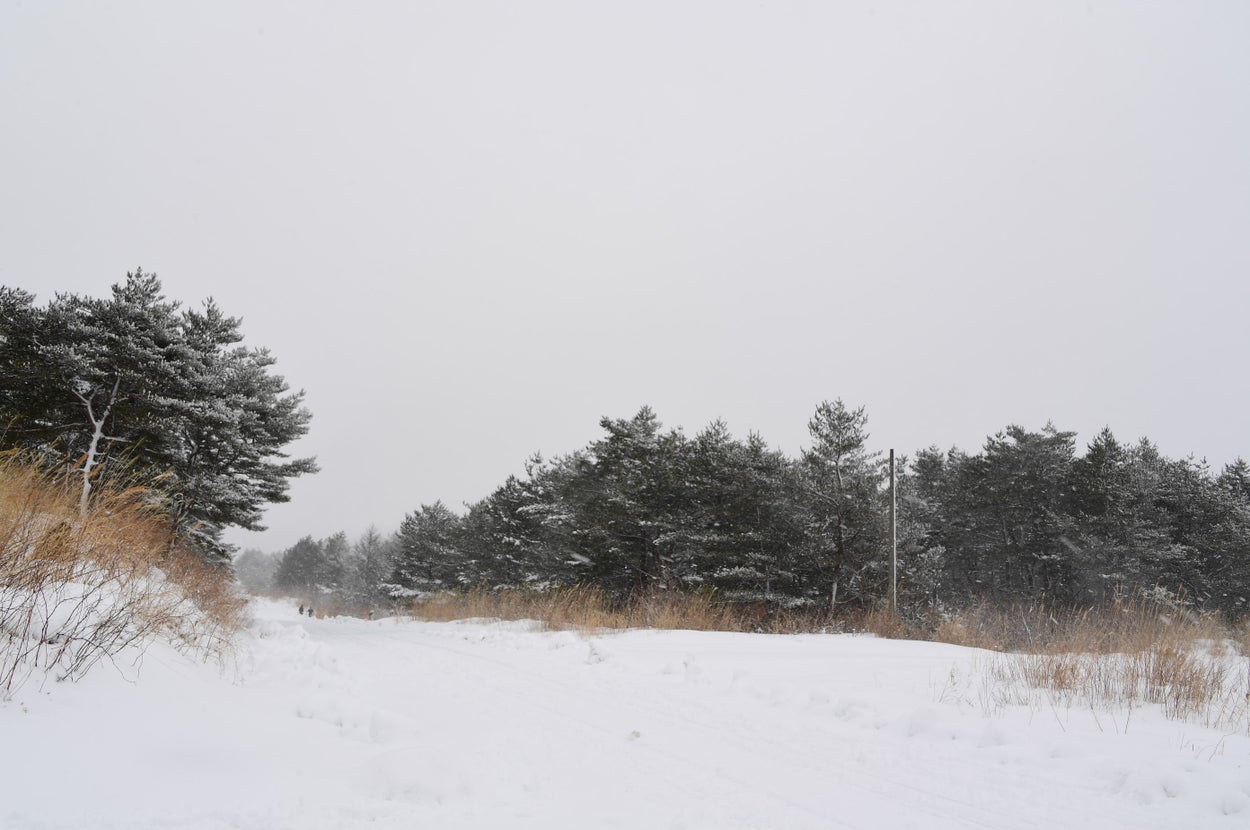 秋田駐屯地が「見つけた！と思った時こそご注意を！」と出題した写真（秋田駐屯地のXより）