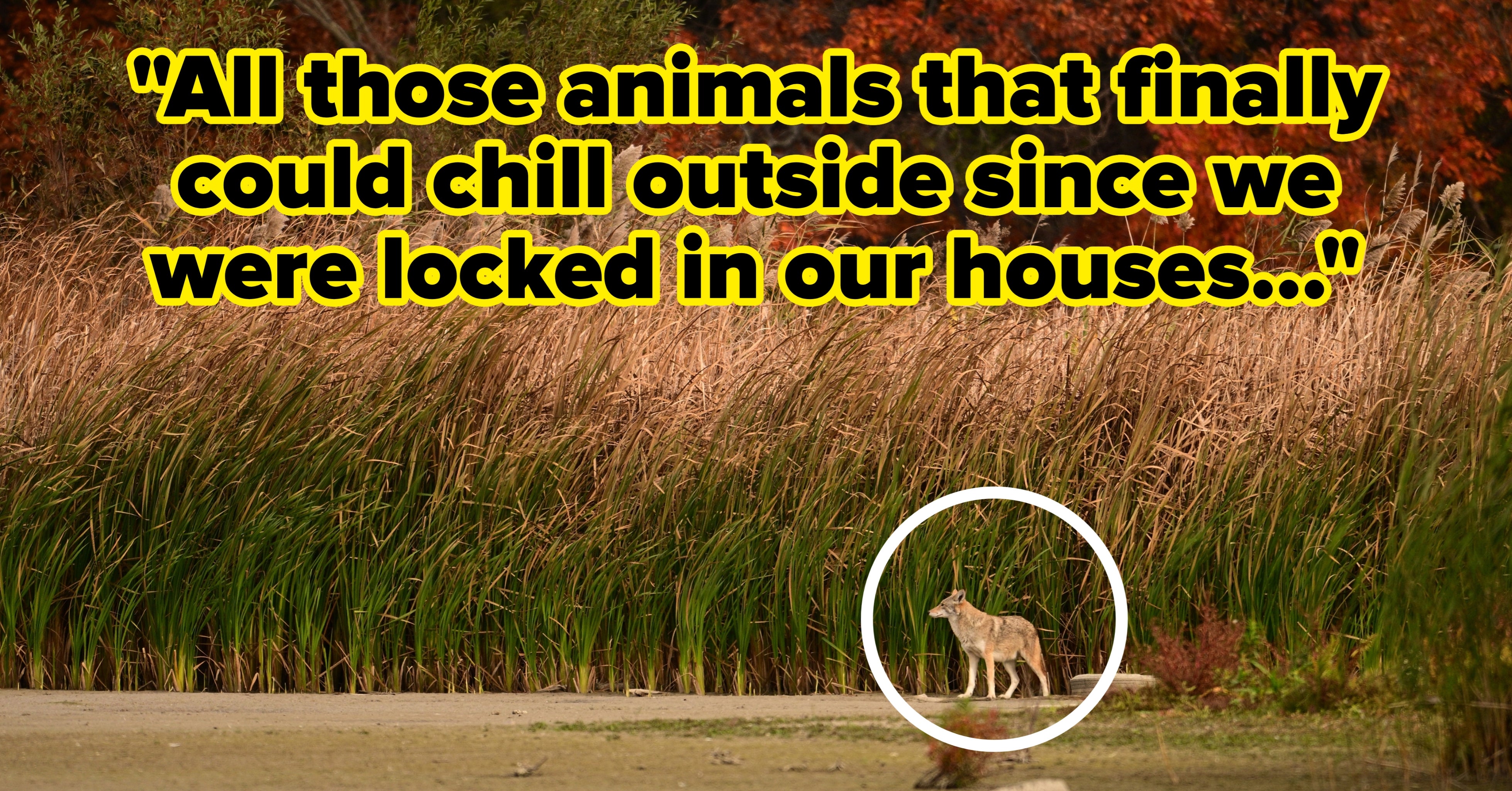 20 Things From The Pandemic That Have Mysteriously Disappeared, But It Wouldn't Be A Terrible Thing If Some Of These Trends And Habits Had Stayed With Us