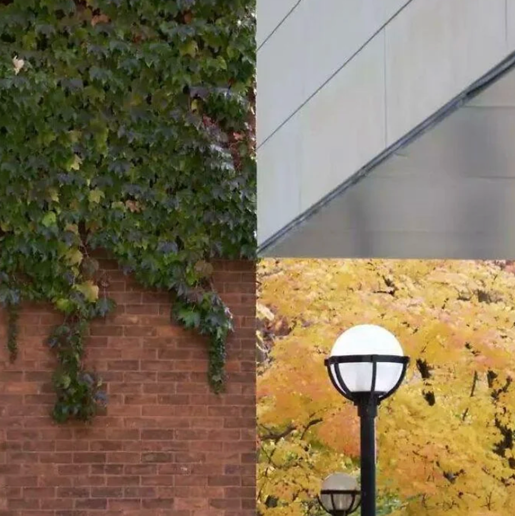 A streetlamp stands against a ceramic  partition  with ivy and a gathering  facade