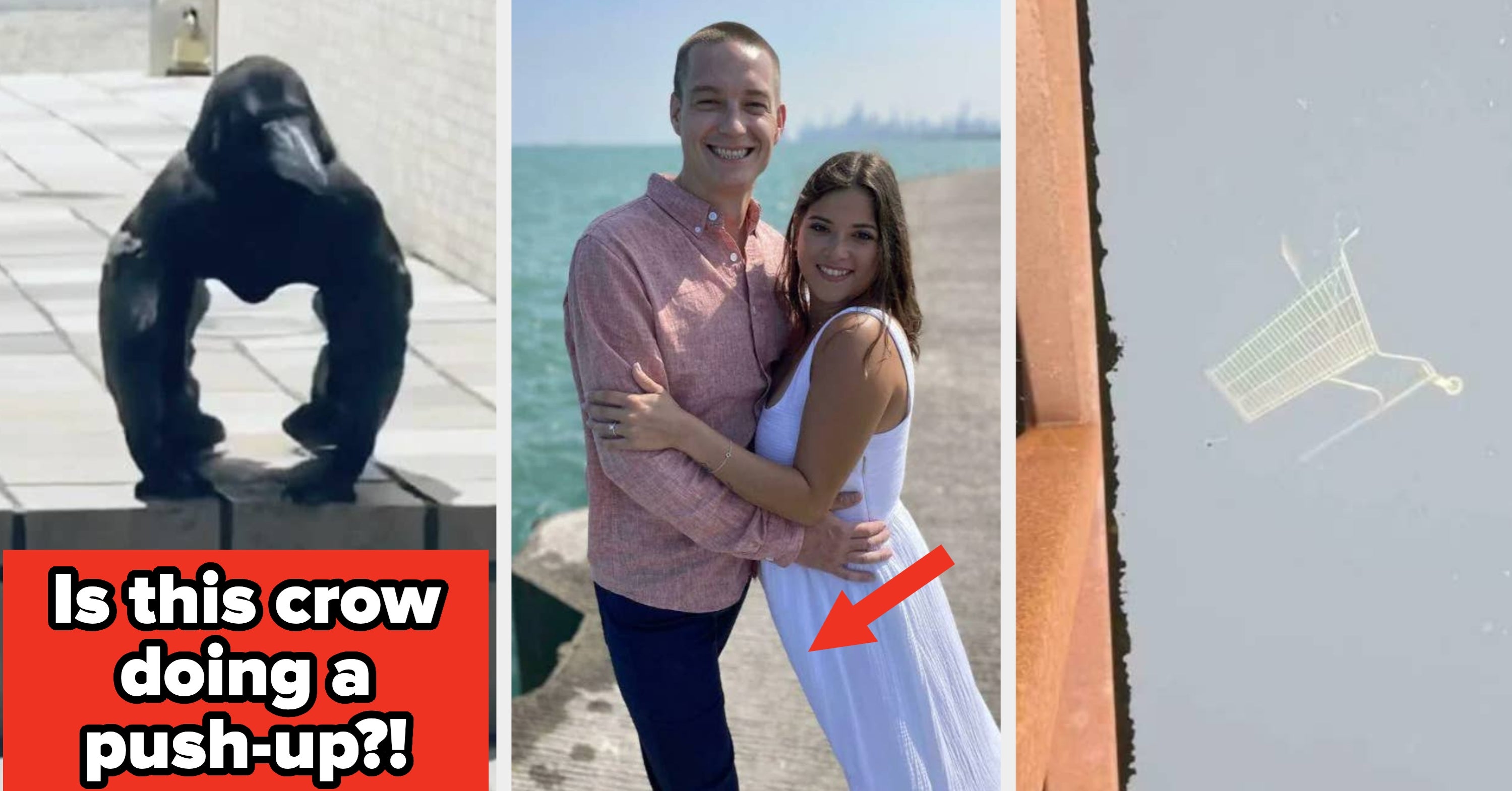 My Brain Literally Cannot Compute What's Happening In These 11 Utterly Baffling Photos