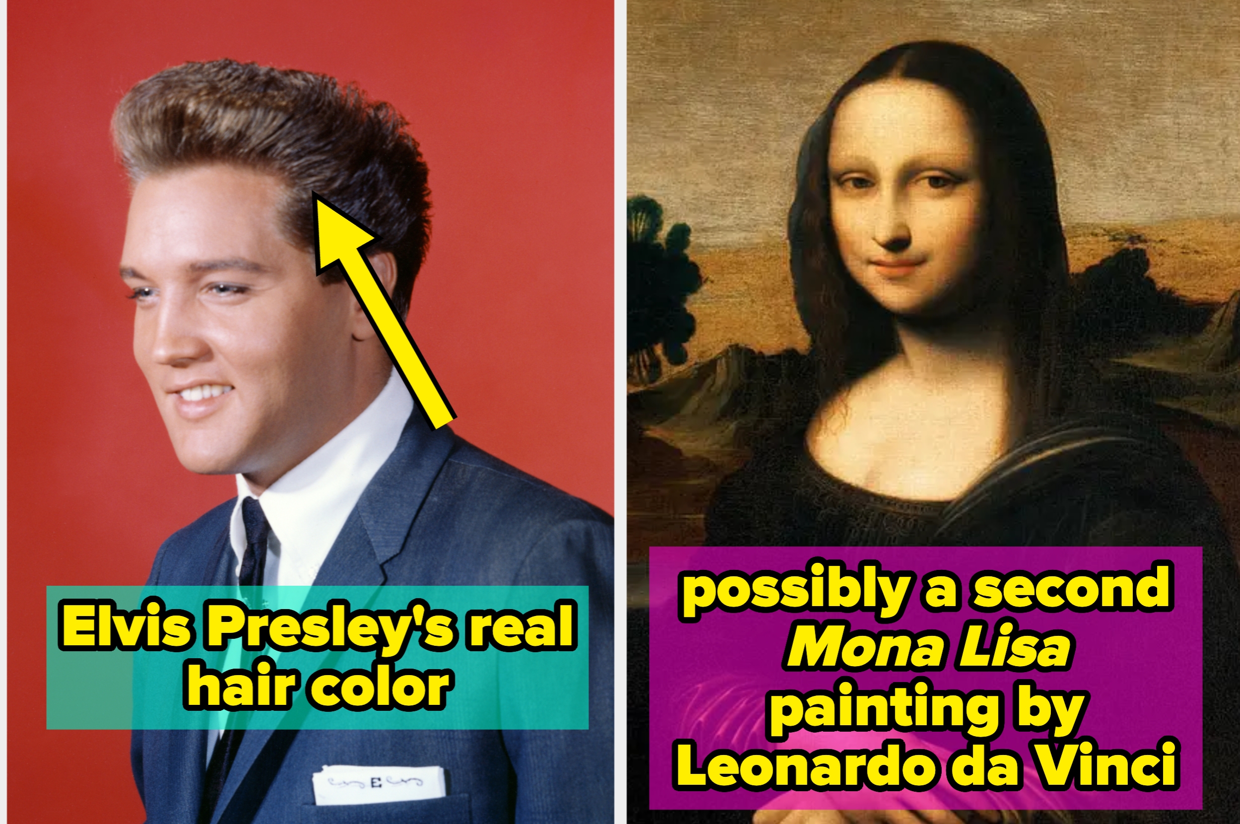 Elvis Presley with styled hair; text notes "real hair color." Mona Lisa painting noted as "possibly a second painting by Leonardo da Vinci."