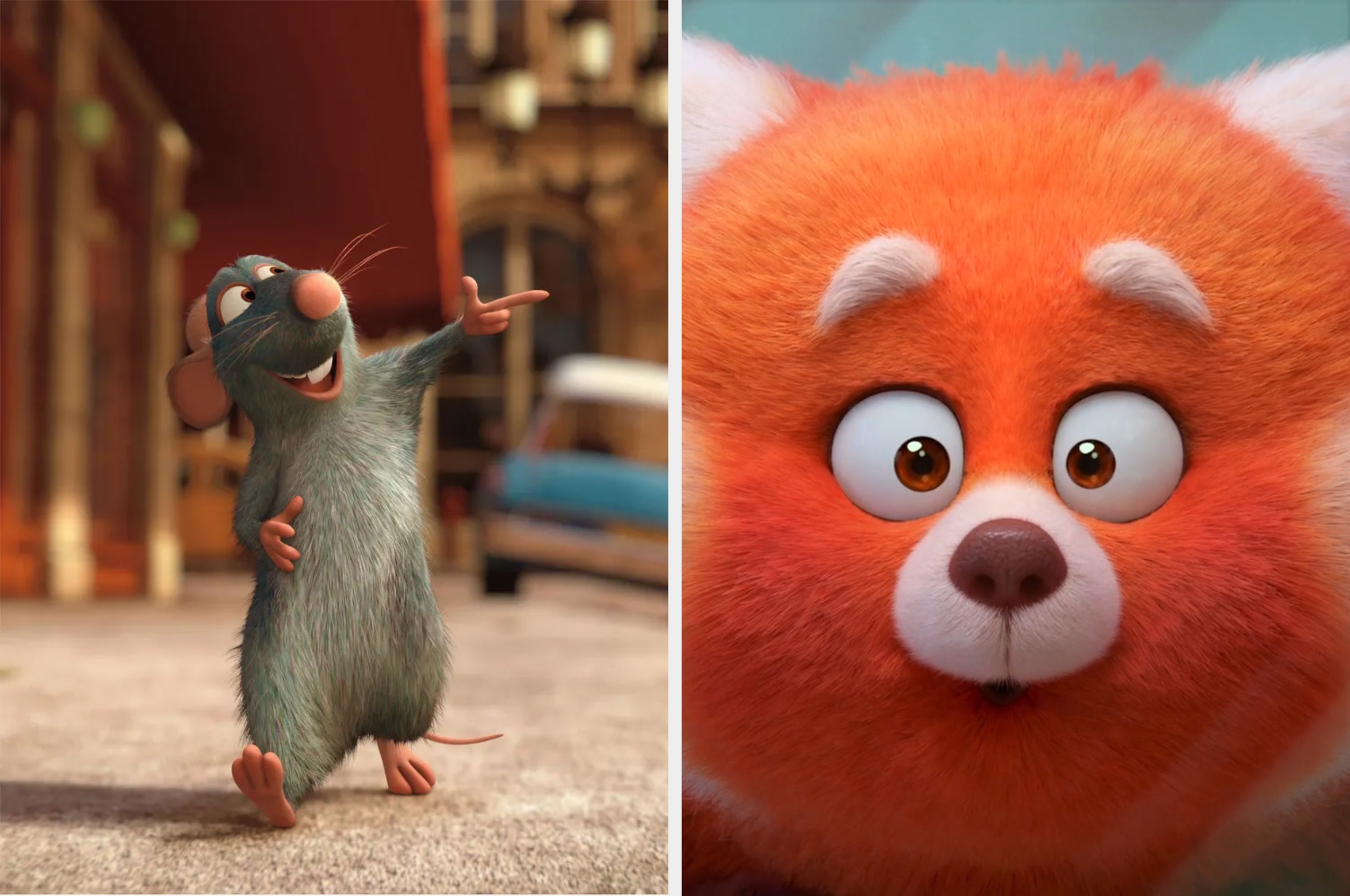 Animated characters: a standing rat gesturing on the left and a surprised red panda on the right