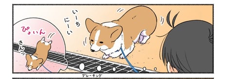 西田さんの漫画「側溝のフタを飛び越えようとする犬」の1コマ目 / 西田理英さんのXアカウント（@itikogi）より