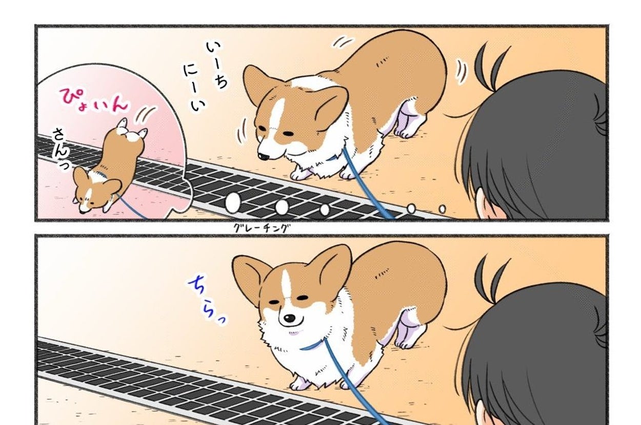 西田さんの漫画「側溝のフタを飛び越えようとする犬」の1コマ目と2コマ目 / 西田理英さんのXアカウント（@itikogi）より