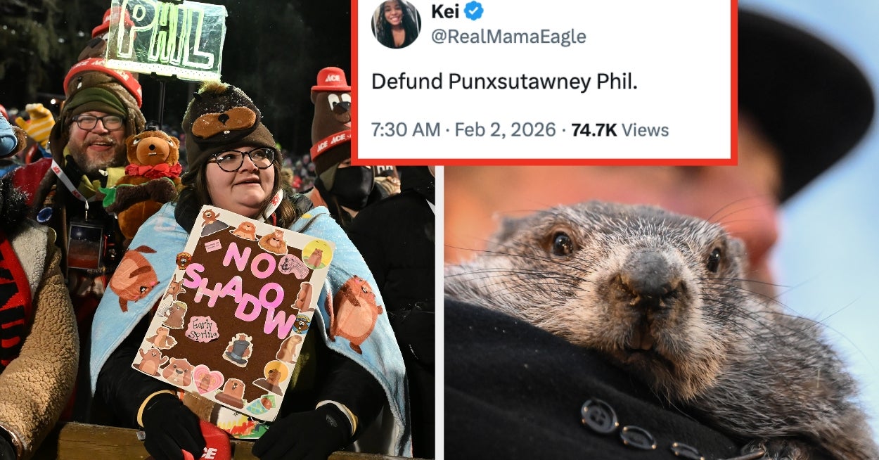 The Internet Did Not Need To Go This Hard On Punxsutawney Phil Jokes But Here We Are