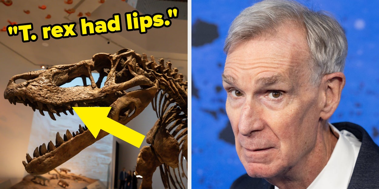 15 Facts You Learned In School That Have Since Been Disproven