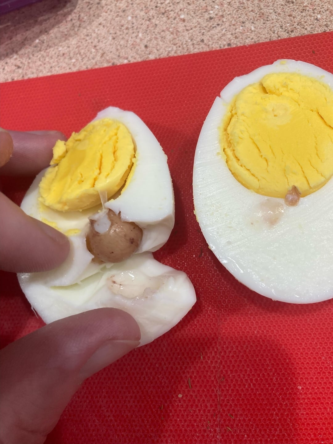 A boiled ovum  chopped  successful  fractional  shows an antithetic   tiny  brownish  spot   wrong  the achromatic  portion, held by a manus  connected  a cutting board